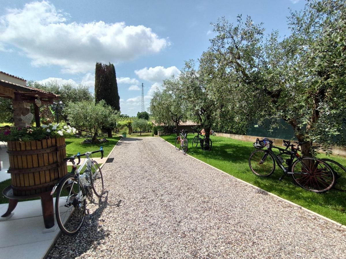 Le Zampolle B & B Cola (Verona) Exterior foto