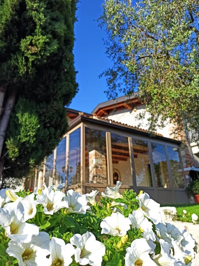 Le Zampolle B & B Cola (Verona) Exterior foto