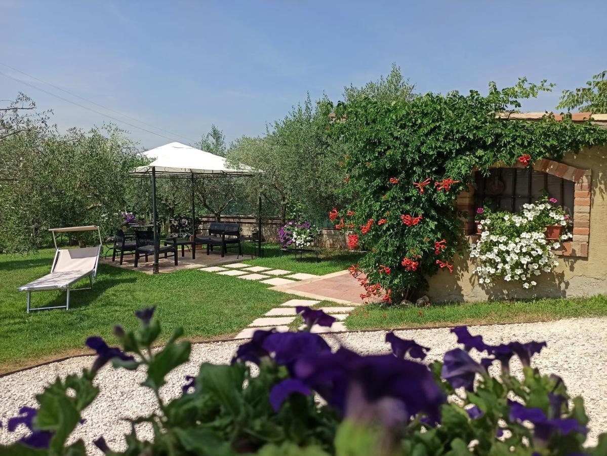 Le Zampolle B & B Cola (Verona) Exterior foto